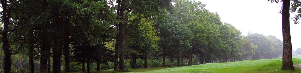 golf_baule_dbd.jpg