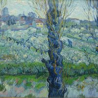 Neue Pinakothek - Vincent van Gogh (1853-1890) « Vue d'Arles (verger en fleurs, peupliers) » - 1889. Salle 21 - Vincent van Gogh, Paul Gauguin, Paul Sérusier.
