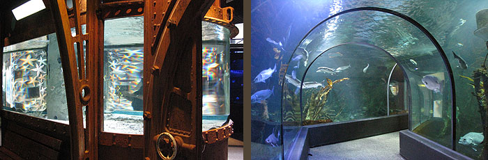 ocearium_le_croisic